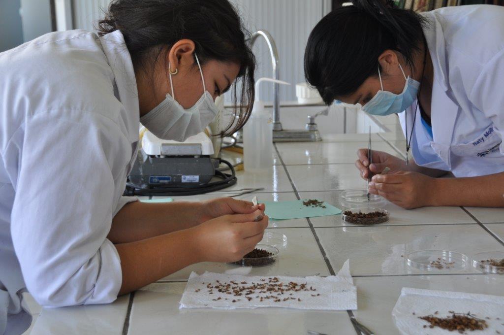 Jóvenes realizando tareas en laboratorio