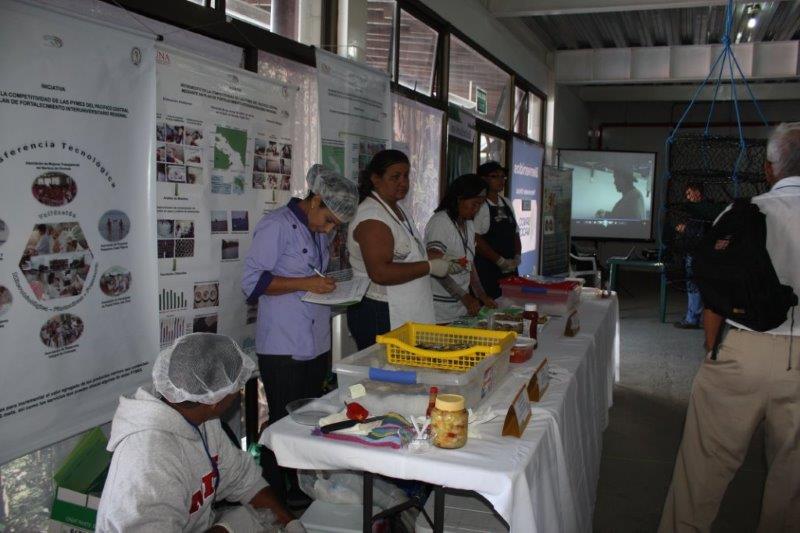 Señoras en actividad de emprendedurismo