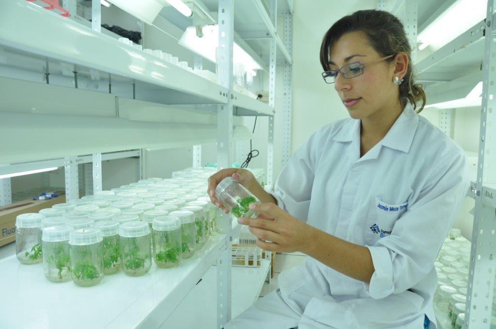 Estudiante trabajando en un laboratorio